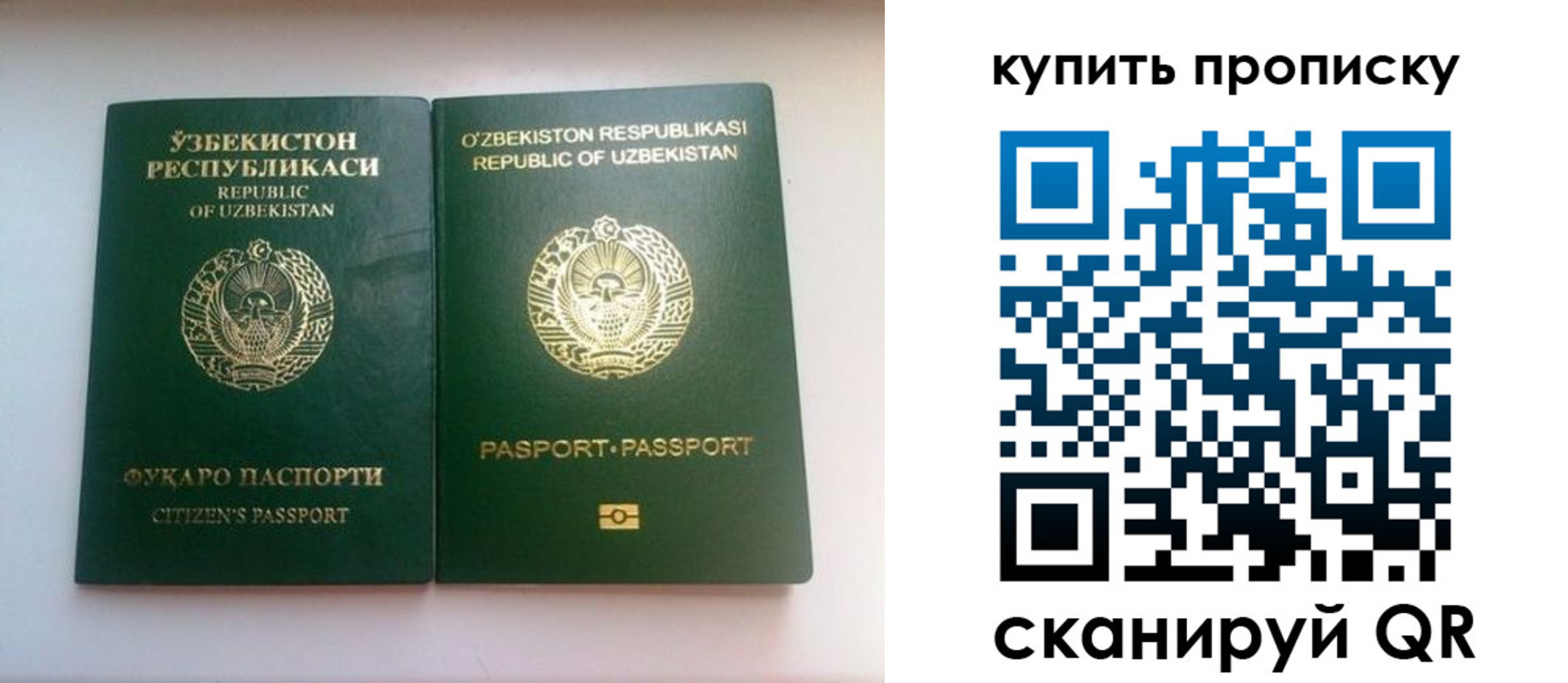 временная прописка в Стародубе